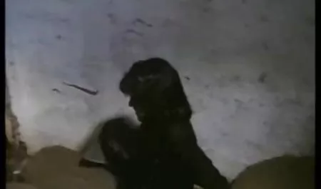 خواهر برادر با السکس اینستا اعضاي