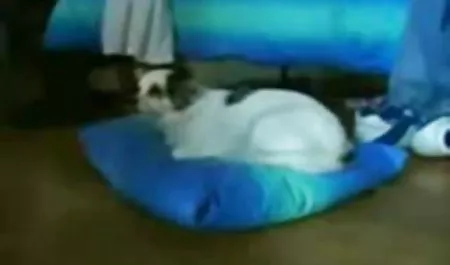 یک سکس اینستا کامل خبره