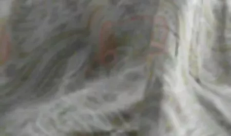 بدون مو سکس کس اینستا کارلوس و تام